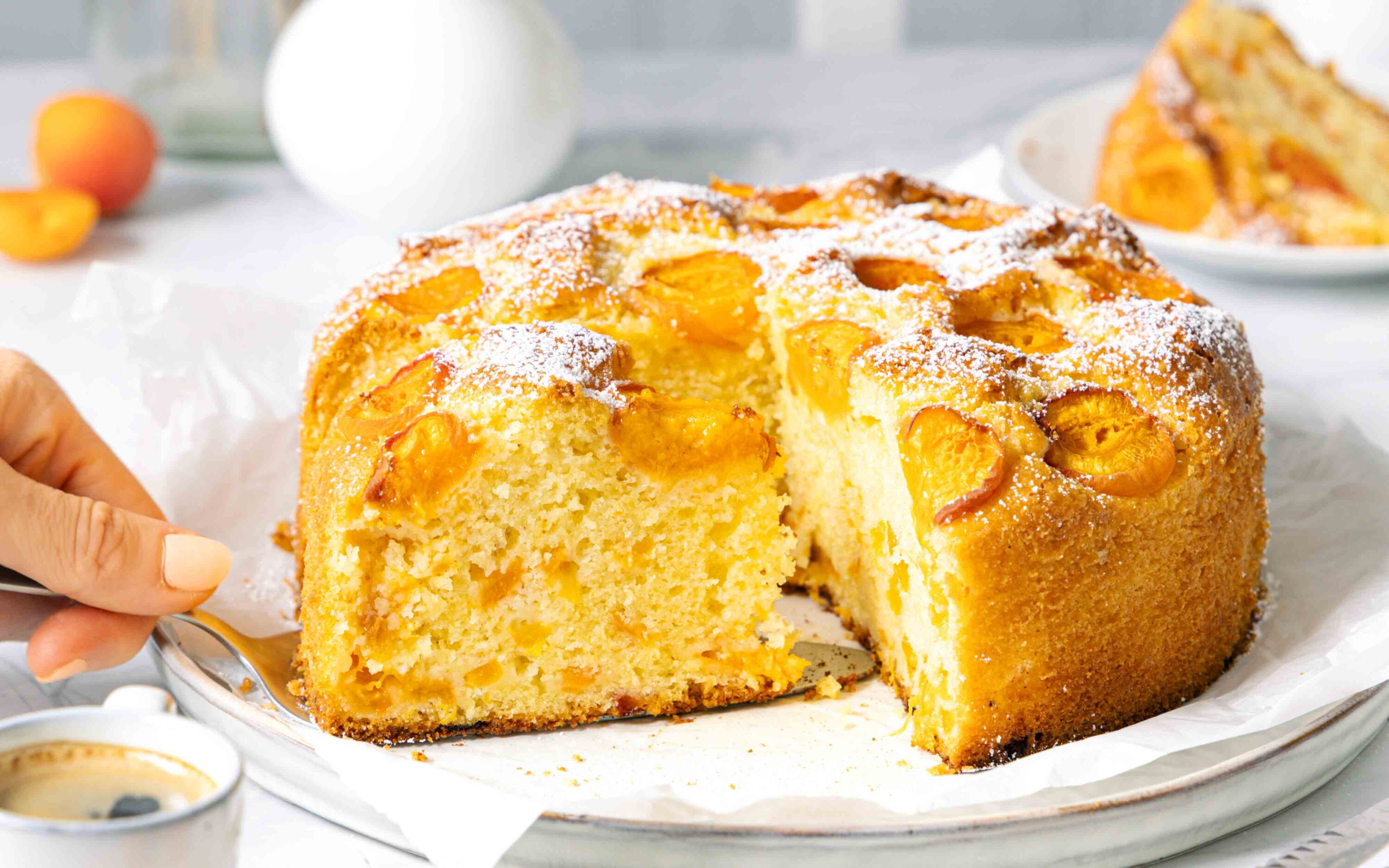 aprikosenkuchen3 scaled